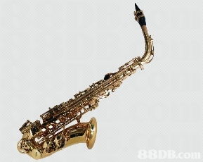 我們專為學(xué)校提供各類中西優(yōu)貿(mào)的入門樂器 樂器配件及用品,并以直銷價發(fā)售,多年來深受全港多間學(xué)校歡迎并支持使用,信心保證